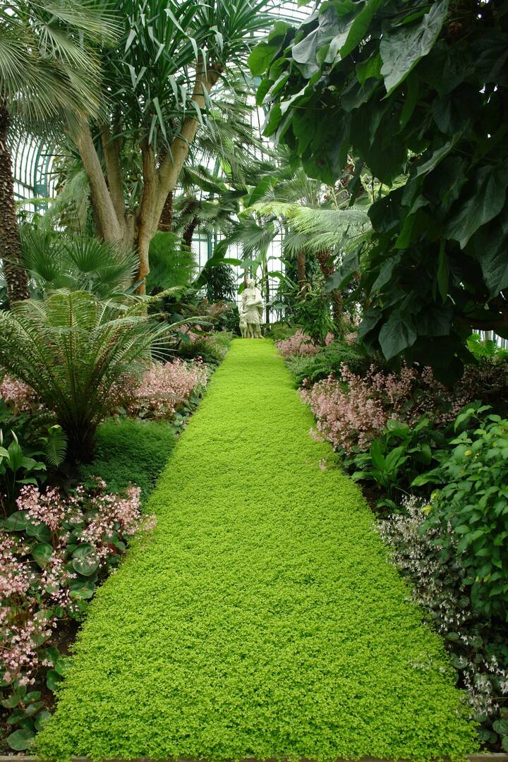 Commercial Landscaper In NJ