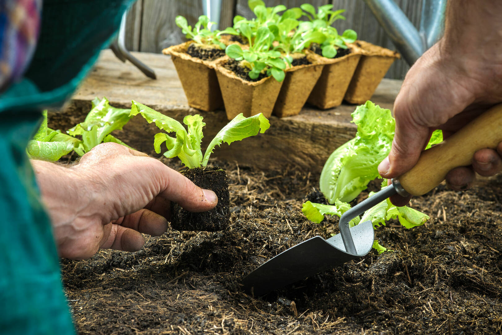 Pest Control Newport OR – pest control services