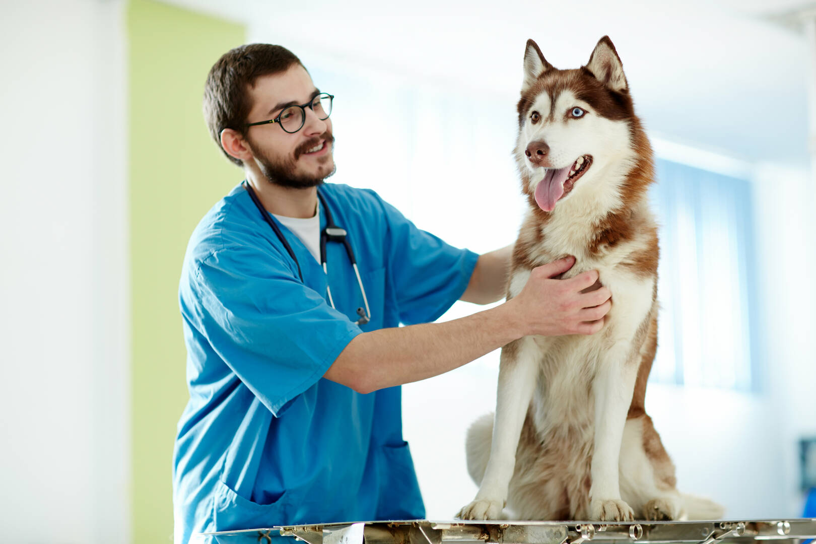 Dog Poop Removal Service Helping Maintain Clean Yards in Centennial CO